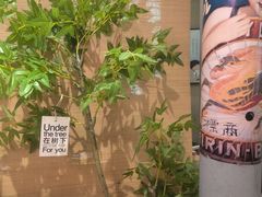 -沼津港精致料理·寿喜烧·烧鸟(漕河泾印象城店)