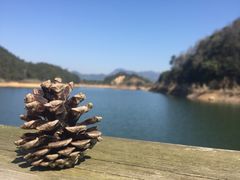 -千岛湖龙川湾