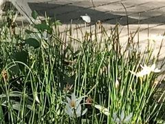 -苏州河梦清园环保主题公园