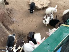 -北京美神宫艺术主题温泉酒店