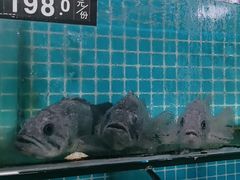 -兆辉木炭海鲜烧烤·海鲜小炒