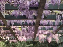 -北京市劳动人民文化宫(太庙)