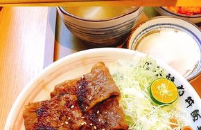 Premium Steak Donburi