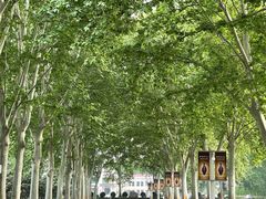 -河南省黄河迎宾馆