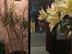 -Apollo·西班牙小酒馆(安福路店)