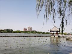 -济南大明湖景区