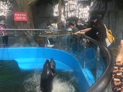 -石家庄市动物园