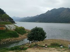 -羚羊峡古栈道森林公园