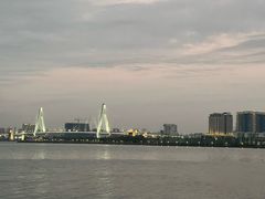 -万绿园