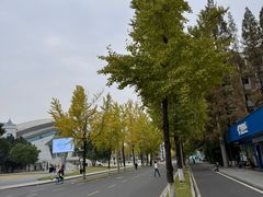 -四川大学(望江校区)