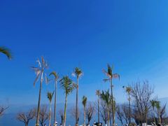 -西昌邛海湿地