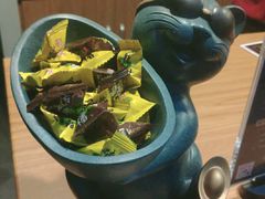 -梵猫·新养生(湛江鼎盛店)