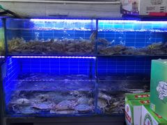 -金海湾海鲜排档(朱家尖店)