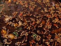 -味之绝热血美蛙鱼火锅(中坝店)