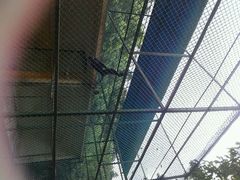 android_upload_pic-广东茂名森林公园