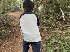 -青龙山国家森林公园