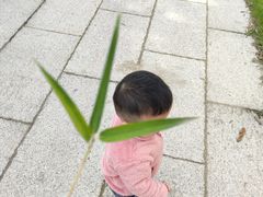 -光明港公园