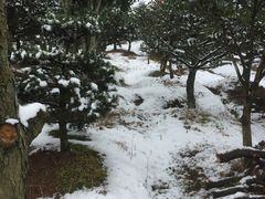 -溪口-滕头旅游景区