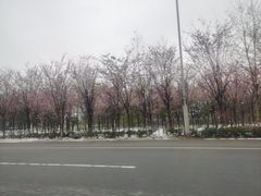 -郑喜旺烧烤(新密总店)