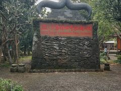 -海口火山口国家地质公园