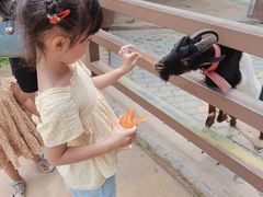 -北戴河集发农业梦想王国