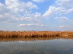 -同里国家湿地公园