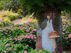 -上海共青森林公园