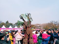 景点-朝阳公园
