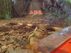 -西安曲江海洋极地公园
