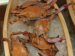 -富力希尔顿酒店·地阔自助餐厅