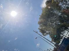 -上海滨江森林公园