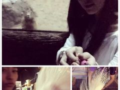 -清迈夜间动物园