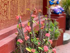 -西双版纳傣族园