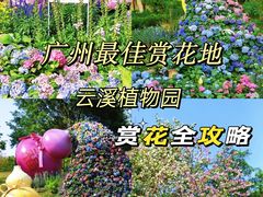 -云溪植物园