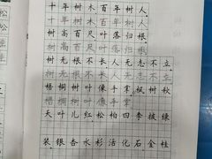 -赵汝飞练字硬笔书法(静安大融城校区)