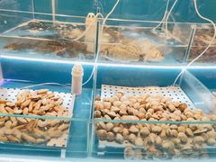 -千家粗粮王(MOMOPARK店)