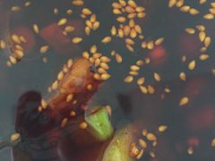 -蜀肴丁丁兔(紫荆店)