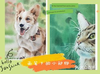 喜欢小动物的看过来。首先我家里也养小狗，我也会经常给