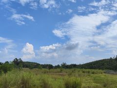 -喜茶(广州番禺奥园广场店)