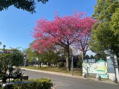 -均和墟历史街区-平和大押