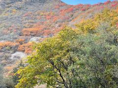 -古崖居风景名胜区