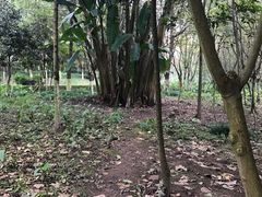 -重庆彩云湖湿地公园