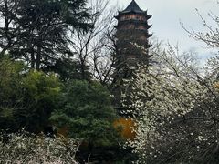 -北寺塔