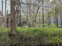 -自然谷恐龙园