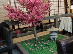 -桃夭日式料理(国信店)