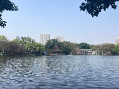 -荔湾湖公园