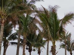-玫瑰海岸文化旅游度假区