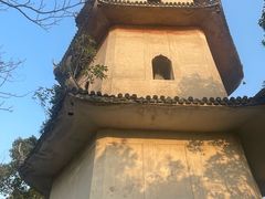 -江心屿景区