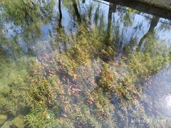 -水磨沟公园