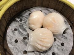 水晶虾饺-火齐潮汕砂锅粥(五道口店)